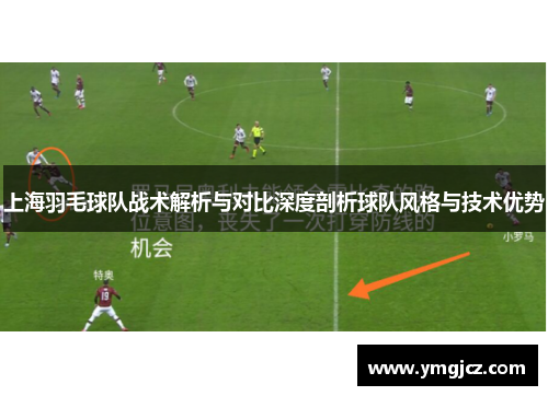 上海羽毛球队战术解析与对比深度剖析球队风格与技术优势