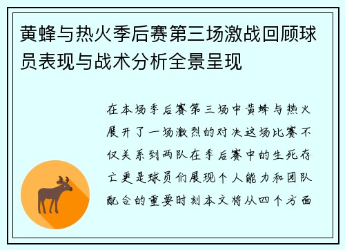 黄蜂与热火季后赛第三场激战回顾球员表现与战术分析全景呈现